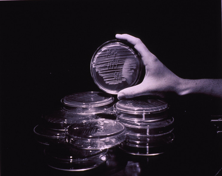 French Scientists Create Two New Antibiotics Effective Against Resistant Bacteria