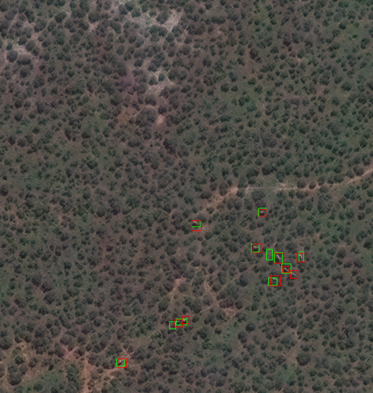 Scientists Use Satellite Imagery to Count Elephants Scientists Use Satellite Imagery to Count Elephants