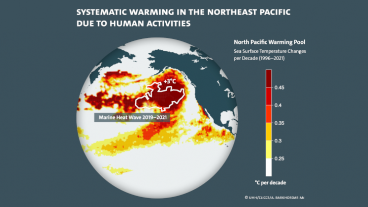 Scientists finally uncovered the source of the deadly 'Blob' that cooked the Pacific Scientists finally uncovered the source of the deadly 'Blob' that cooked the Pacific