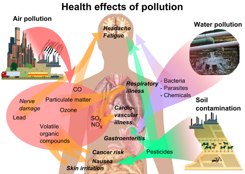 Volatile Organic Compounds That Lead to Indoor Air Pollution Volatile Organic Compounds That Lead to Indoor Air Pollution