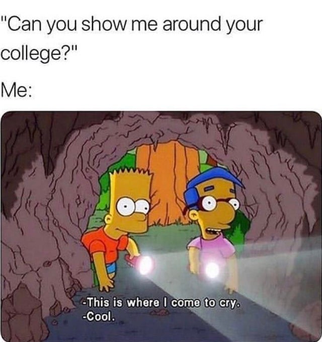 best engineering memes 2019 crying in a cave