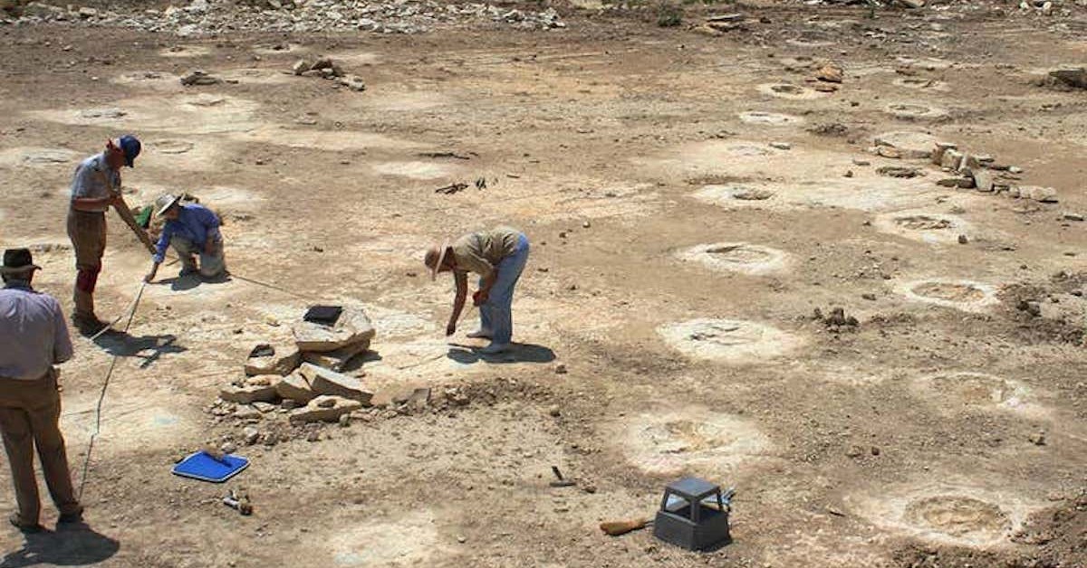 Giant Dinosaur Tracks Stump Paleontologists to Believe Sauropods Did Handstands Giant Dinosaur Tracks Stump Paleontologists to Believe Sauropods Did Handstands