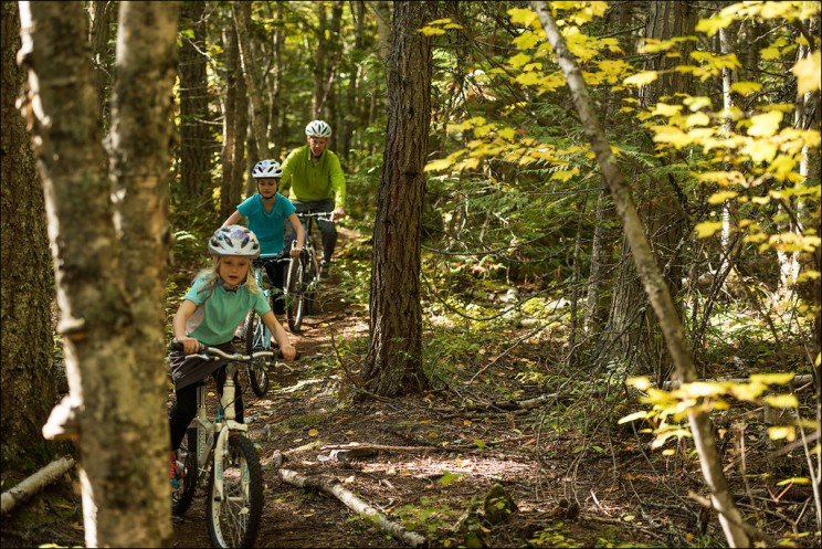 Biking Biking