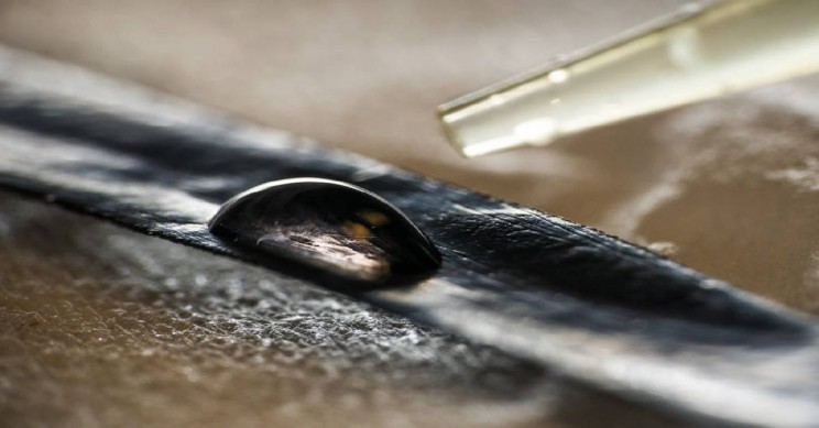 Scientists Create Artificial Muscles That Function Just like Ours Scientists Create Artificial Muscles That Function Just like Ours