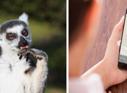 9 Cool Uses for Those Old Smartphones You Have Laying around Your Home
