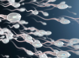 Man's Semen Only Shows DNA of His Donor after Bone Marrow Transplant