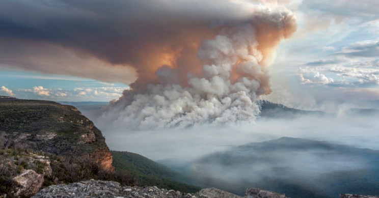 5 Images That Show the Devastating Scale of the Australia Bushfires 5 Images That Show the Devastating Scale of the Australia Bushfires
