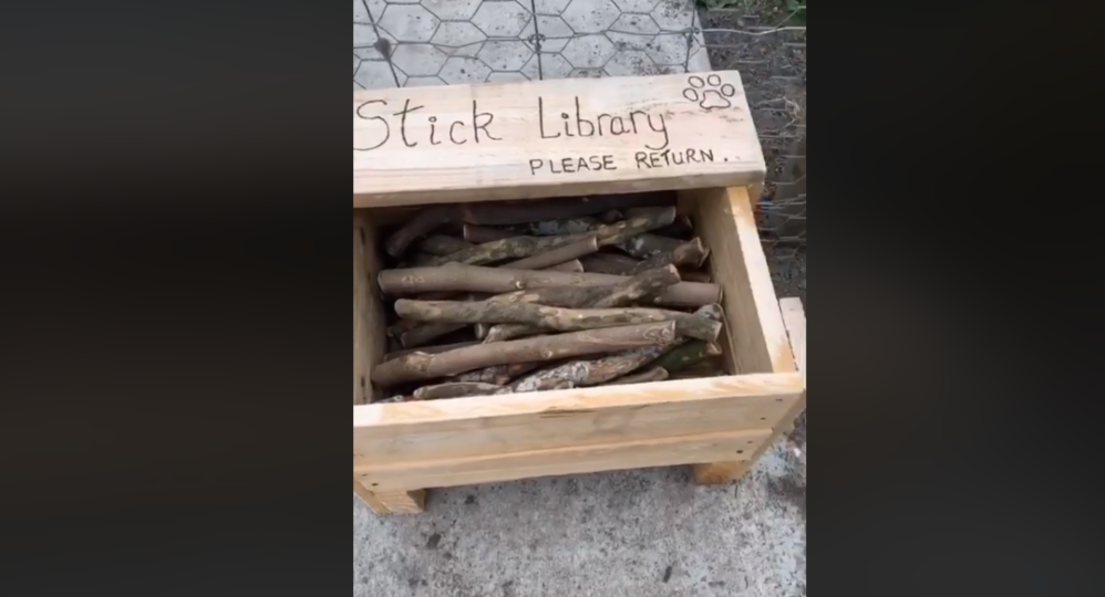 A Shortage of Sticks Prompts Man to Build 'Stick Library' for Dog Park A Shortage of Sticks Prompts Man to Build 'Stick Library' for Dog Park