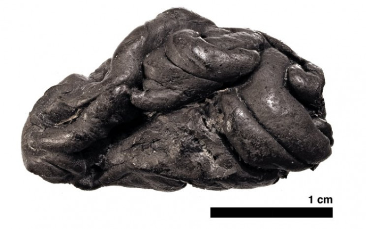 5,700-Year-Old "Chewing Gum" Enables Researchers to Recreate a Woman's Entire Genome 5,700-Year-Old "Chewing Gum" Enables Researchers to Recreate a Woman's Entire Genome
