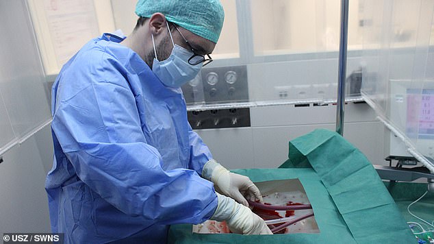 Scientists Build Machine That Keeps Human Livers Functioning outside of the Body for 1 Week Scientists Build Machine That Keeps Human Livers Functioning outside of the Body for 1 Week