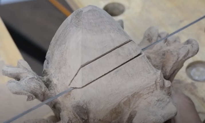 power carve shark head cut mouth