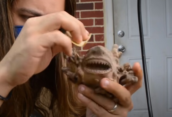 power carve shark sand