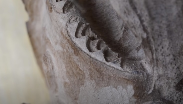 power carve shark second row teeth