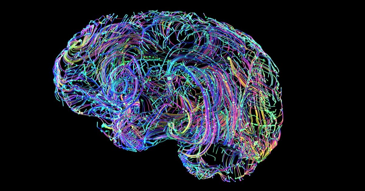 prosthetics brain plasticity