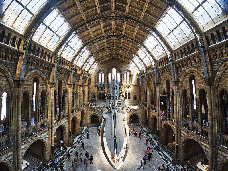 virtual tours NHM