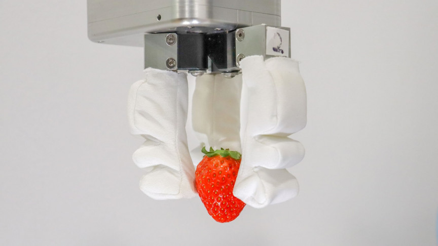 Engineers Developed a Human Hand-inspired Soft Robotic Gripper - Vimarsana News