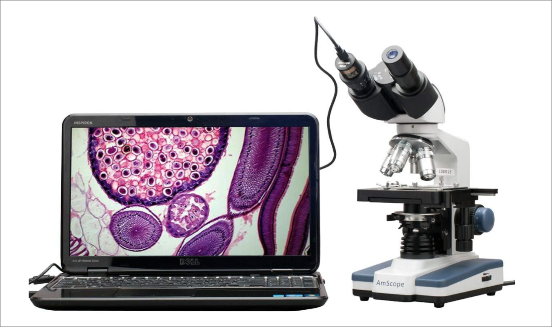 AmScope B100B Compound Microscope