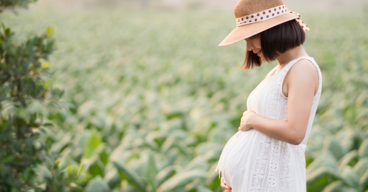 Human Pregnancy Linked to Egg-Laying Animal 300 Million Years Ago
