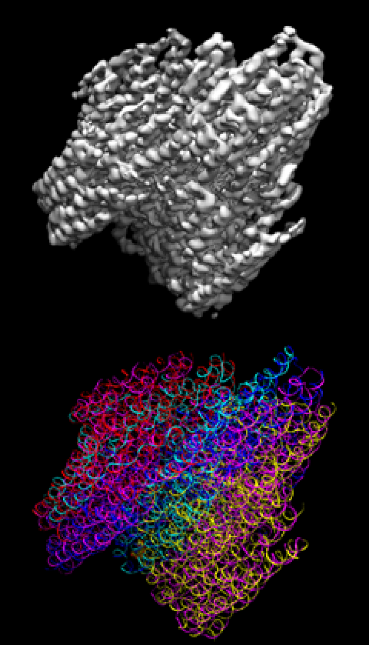 MIT Researchers Use 'DNA Origami' to Create Vaccine Against HIV and More MIT Researchers Use 'DNA Origami' to Create Vaccine Against HIV and More