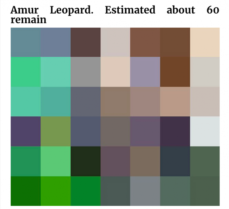 Incredible Images of Endangered Species in Pixels to Show How Many Are Left