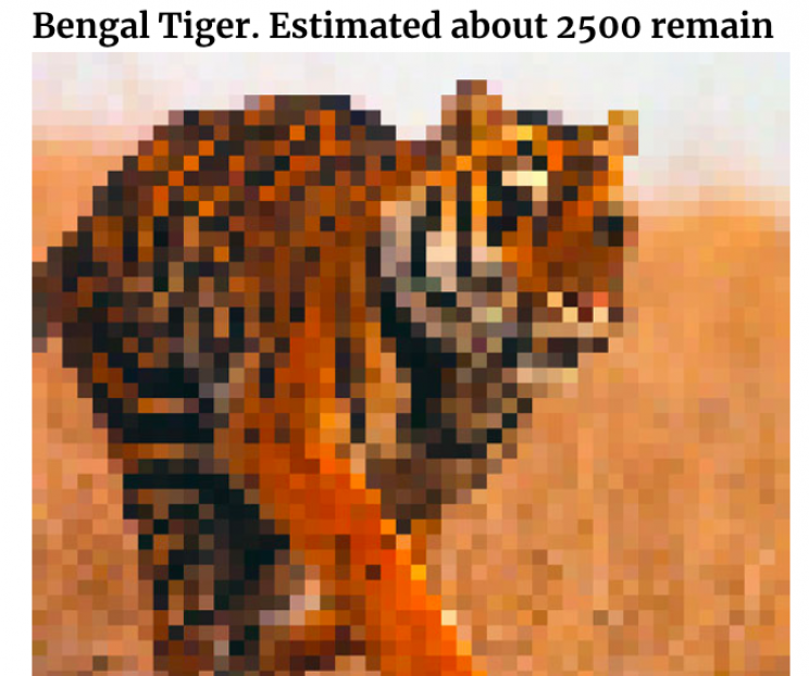 Incredible Images of Endangered Species in Pixels to Show How Many Are Left
