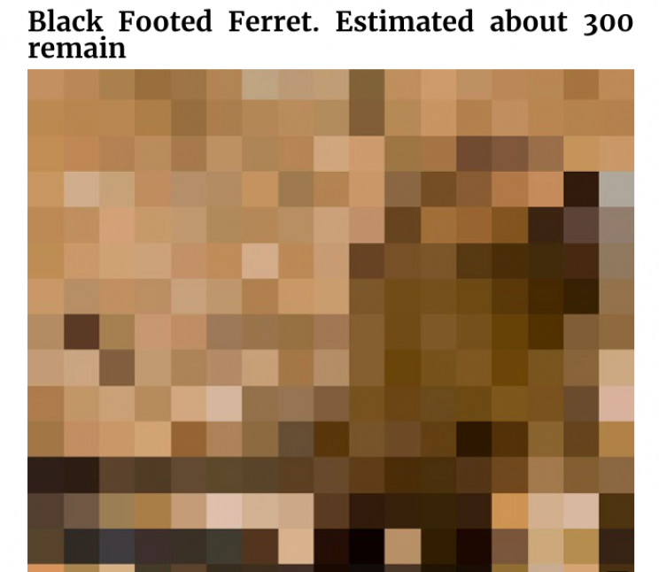 Incredible Images of Endangered Species in Pixels to Show How Many Are Left