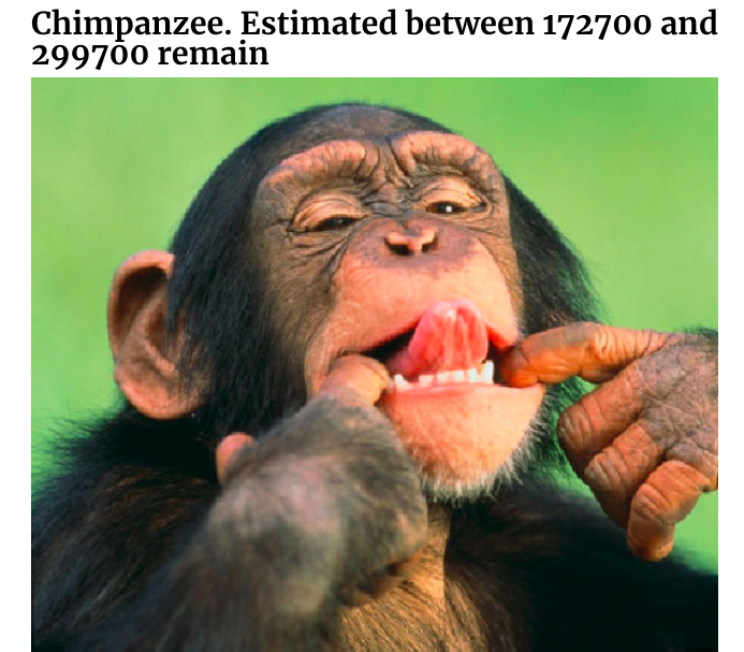 Incredible Images of Endangered Species in Pixels to Show How Many Are Left