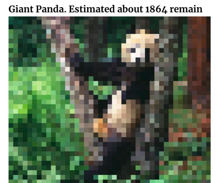 Incredible Images of Endangered Species in Pixels to Show How Many Are Left