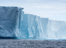 Colossal 315 Billion-Tonne Iceberg Breaks Away from Antarctica