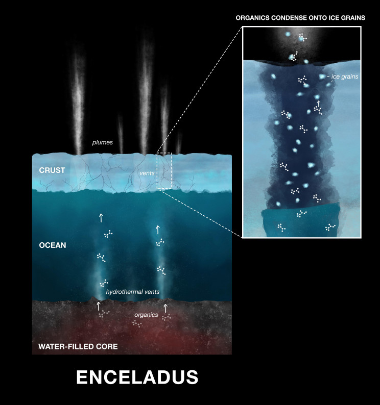 Scientists Find Building Blocks of Life on Saturn's Moon Enceladus