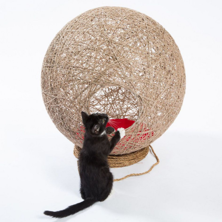 cathouse ball of twine