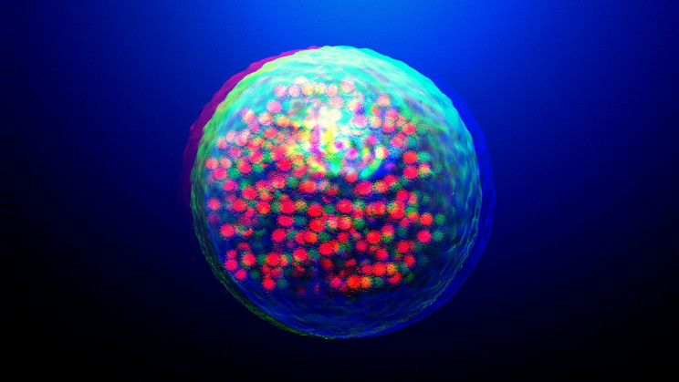 We Are Tremendously Close to a Viable Vaccine for HIV