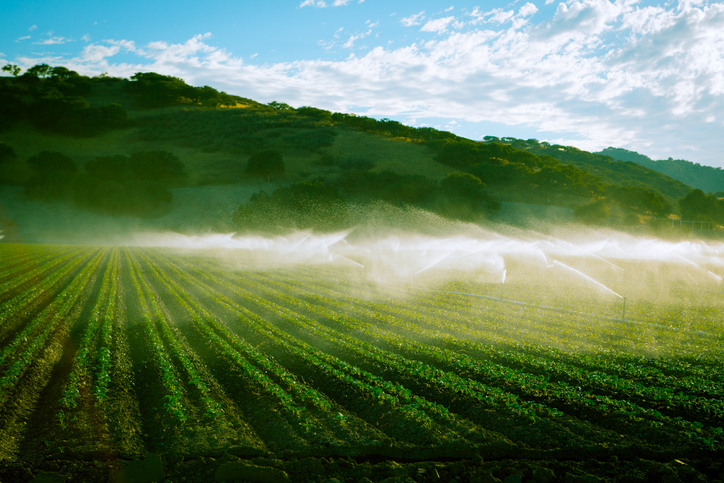 Irrigation in California's Central Valley Irrigation in California's Central Valley