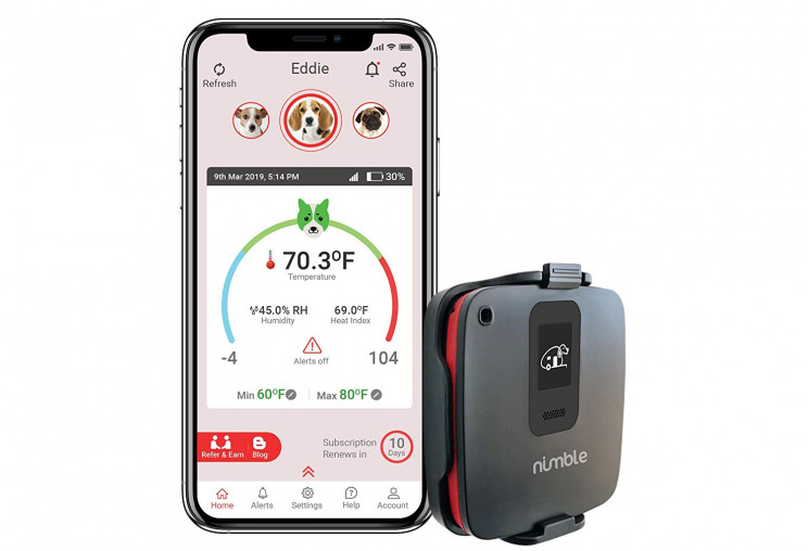 5 Cool Pet Tools We Have to Thank Engineers For