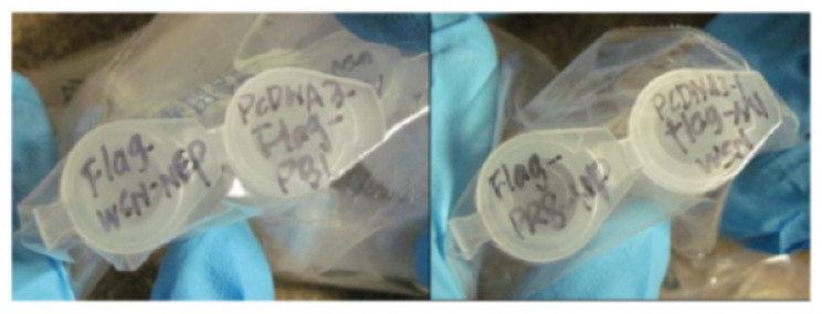 Writing on biological samples Writing on biological samples