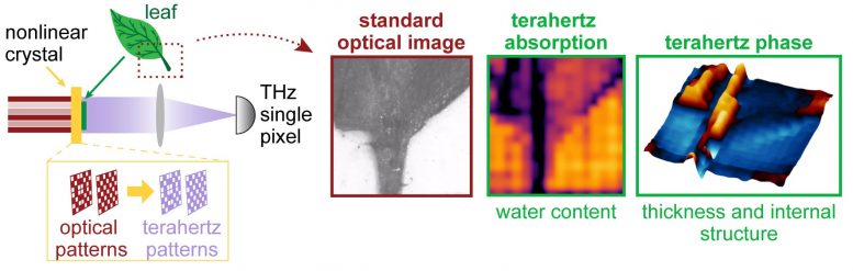 New Camera Uses Lasers and Terahertz Waves to Capture "Unseen" Detail inside Objects New Camera Uses Lasers and Terahertz Waves to Capture "Unseen" Detail inside Objects