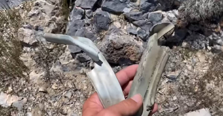 Hiker Goes on Hunt for Rare Plant, Finds Crashed Plane from 1952 Instead Hiker Goes on Hunt for Rare Plant, Finds Crashed Plane from 1952 Instead