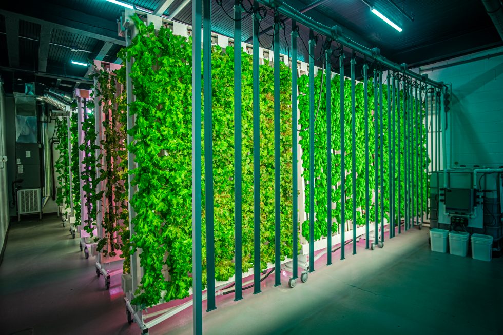 vertical farms zipgrow
