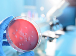Explosion At Russia Lab Storing Ebola, Smallpox Has Twittersphere Worried
