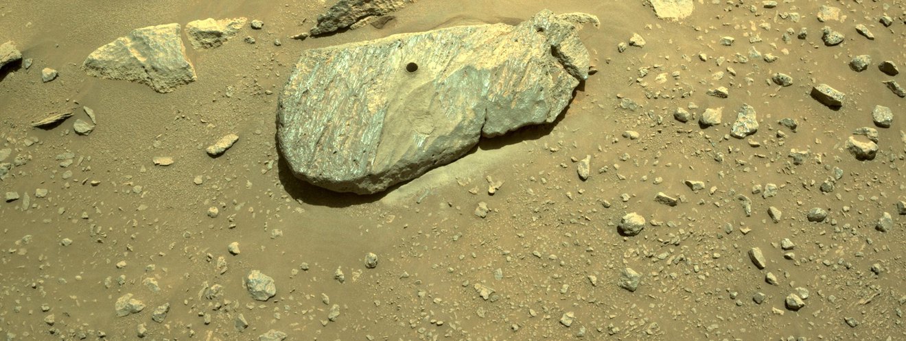 Perseverance Might Bring Live Martian Organisms to Earth. But Is It Safe? Perseverance Might Bring Live Martian Organisms to Earth. But Is It Safe?