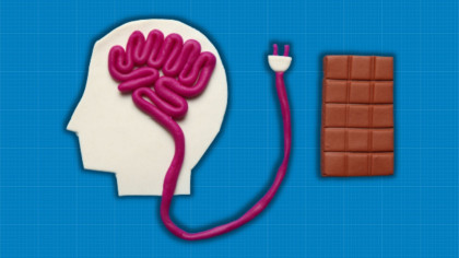 Scientists Uncover the Mechanism of Brain's 'Hunger Switch'
