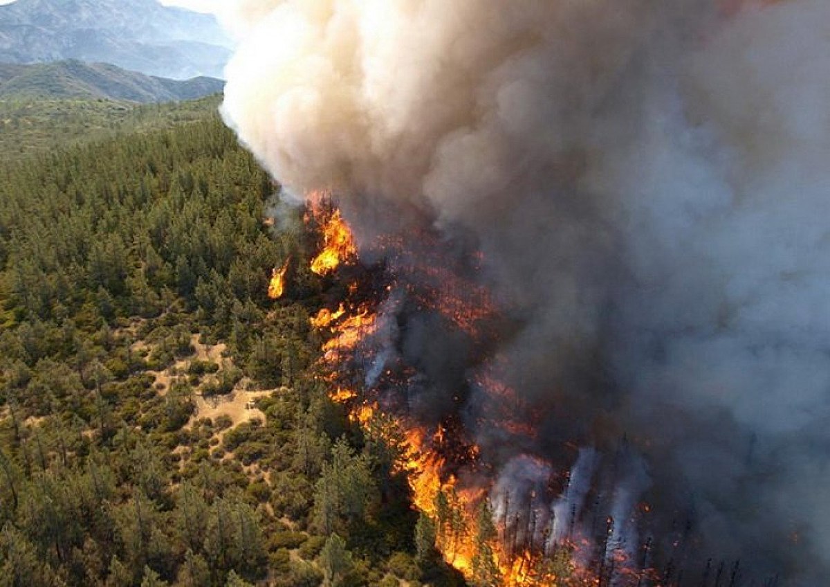 Wildfire from the air Wildfire from the air