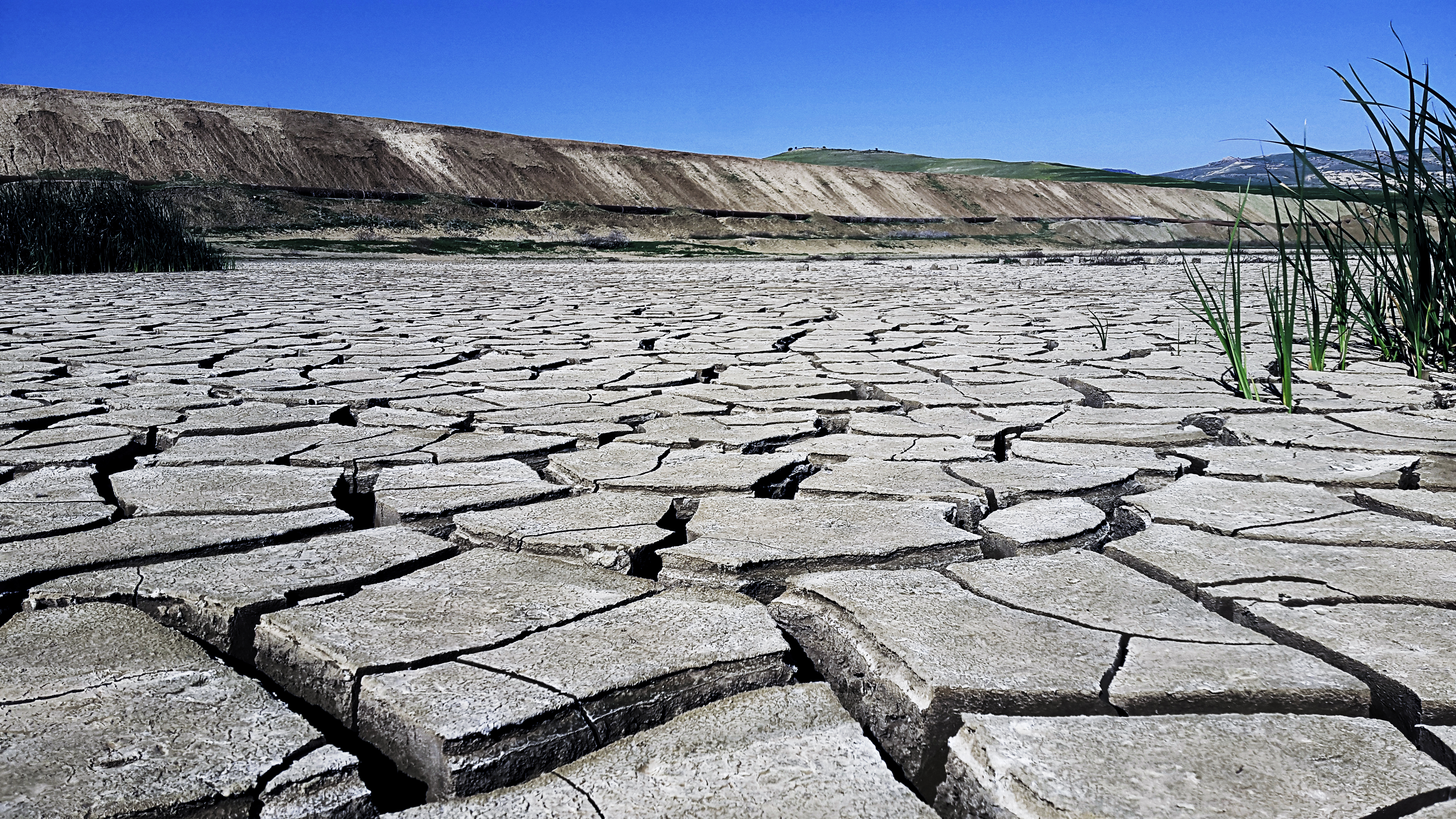 Drought in Algeria Drought in Algeria