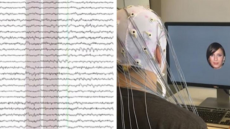 AI Generates Personally Attractive Portraits by Reading Brain Waves