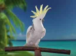 Infamous Self-Taught Cockatoo, Snowball, Knows How to Dance 14 Different Moves