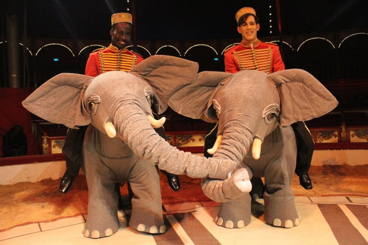 German Circus Replaces Animals with Stunning Holograms German Circus Replaces Animals with Stunning Holograms