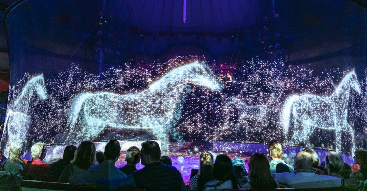 German Circus Replaces Animals with Stunning Holograms German Circus Replaces Animals with Stunning Holograms