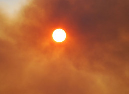 July Was the Hottest Month Ever Recorded on Earth