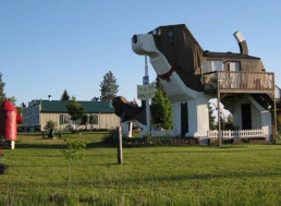 Doggo Heaven: Dog-loving Couple Designed a Beagle-shaped B&B