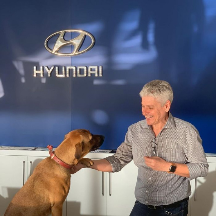 Hyundai Showroom in Brazil Hires Stray Dog as Sales Consultant Hyundai Showroom in Brazil Hires Stray Dog as Sales Consultant